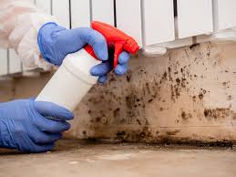 Best Forensic Mold Investigation in St John, IN